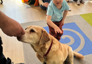 Chłopiec głaska psa.