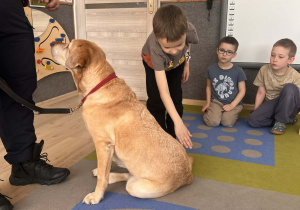 Chłopiec podchodzi do psa.