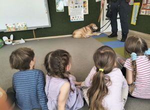 Odwiedziny Straży Miejskiej w naszym przedszkolu