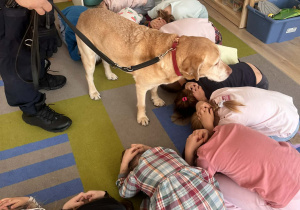 Dzieci w pozycji bezpiecznej żółwik.