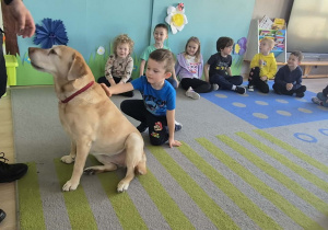 Chłopiec głaszcze psa.