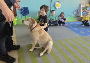 Chłopiec delikatnie głaszcze psa.