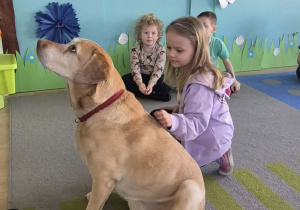 Dziewczynka drapie pieska po grzbiecie.