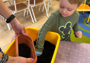 Chłopiec wsypuje ziemię do doniczki.