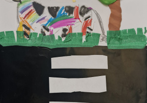 „Zebra”