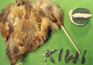 „Kiwi”