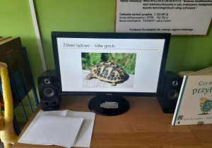 Zdjęcie żółwia.