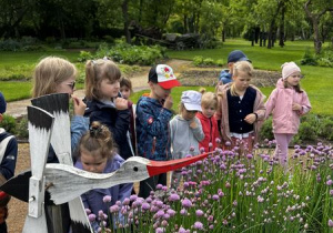 Dzieci próbują kwiatów szczypiorku.