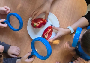Dzieci obserwują przez lupy co warzywa mają w środku.