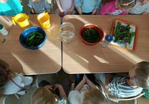Produkty do kiszenia ogórków.