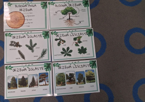 Zdjęcie ilustracji.