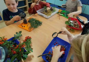 Dzieci skrupulatnie angażują się podczas zajęć badawczych.