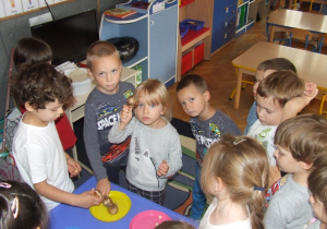 dzieci oglądają różnego rodzaju cebule kwiatowe