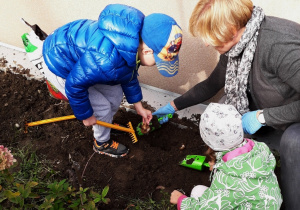Dzieci i nauczycielka sadzą cebulę