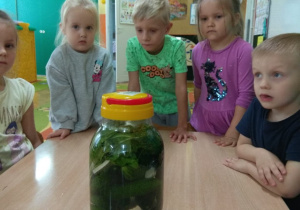 Dzieci prezentują słoik z zakiszonymi ogórkami.