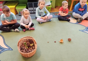 Dzieci poznają owoce drzew: kasztany, szyszki.