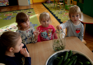 Dzieci oglądają składniki potrzebne do kiszenia ogórków.