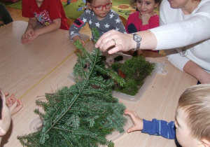 Nauczycielka pokazuje dzieciom gałązki z drzew iglastych.