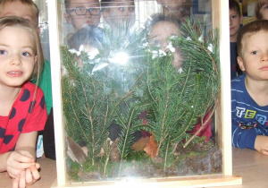 Grupa dzieci prezentuje wykonany las za szkłem.