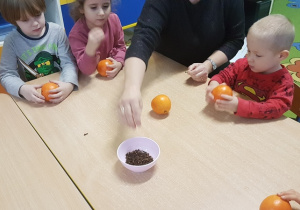 Nauczycielka pokazuje jak wbijać przyprawę do pomarańczy.