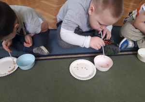 Dzieci za pomocą słomki przenoszą ziarna kukurydzy z talerzyka do miseczki.