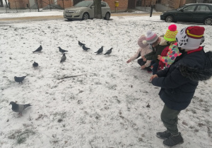 Dzieci karmią gołębie.