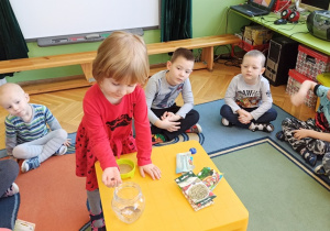 Dziewczynka wrzuca nasiona do pojemnika.