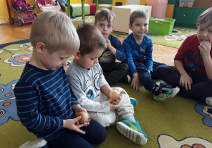 Dzieci oglądają cebulę