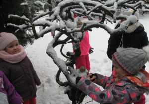 Dzieci układają zimowe kule dla ptaków.