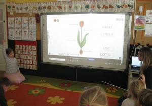 Dzieci oglądają budowę rośliny.