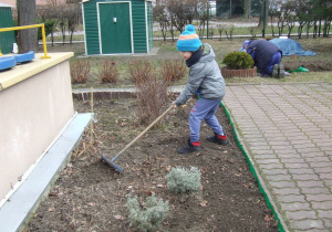 Chłopiec grabi ziemię.