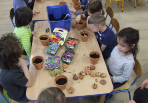 Dzieci sadzą cebulki tulipanów i mieczyków.