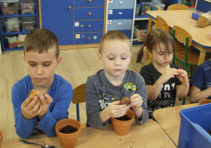Dzieci oglądają cebulki kwiatów.