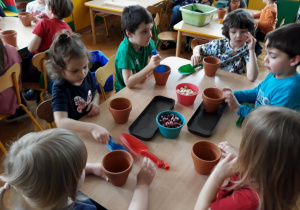 Dzieci siedzą przy stole, a na nim ustawione akcesoria do sadzenia