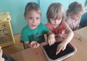 Dzieci wrzucają nasionka do doniczki z ziemią.