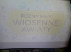 Wiosenne kwiaty