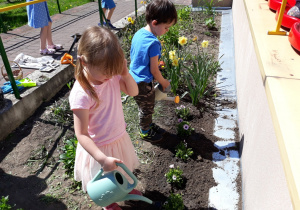Dzieci podlewają posadzone kwiaty.