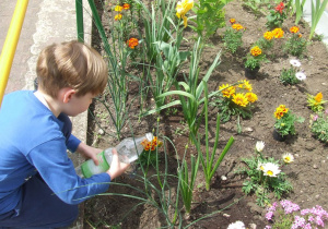 Chłopiec podlewa kwiaty.