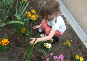 Dziewczynka sadzi kwiatek w ziemię.