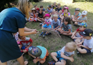 Nauczycielka pokazuje dzieciom łąkowe trawy.