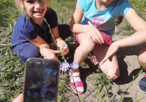 Dzieci oglądają kwiaty i znajdują ich nazwy w aplikacji na telefon.