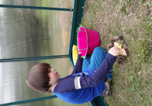 Chłopiec zbiera do pojemnika szyszki i liście