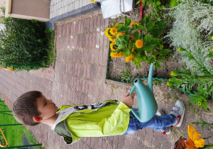 Cłopiec podlewa kwiaty