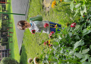 Chłopiec podlewa kwiaty