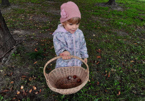 Dziewczynka trzyma koszyk z kasztanami.