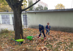Dwaj chłopcy grabią liście.