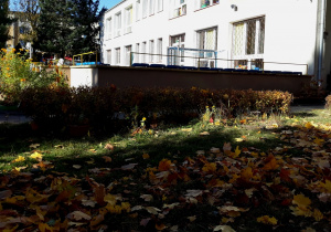 Ogród przedszkolny jesienią