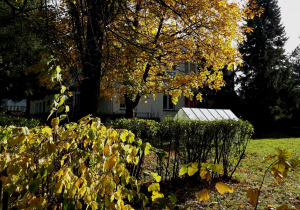 Ogród przedszkolny jesienią